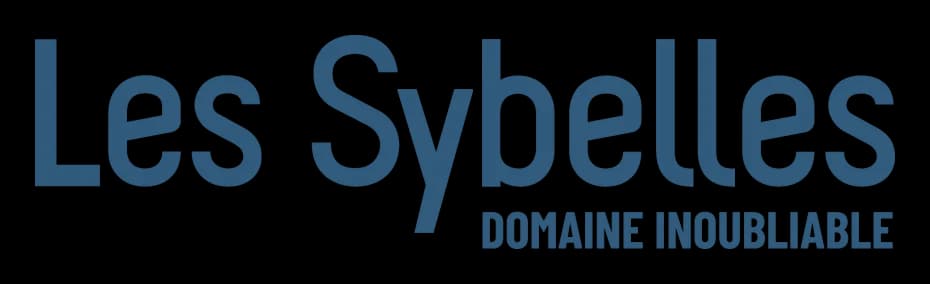 Logo partenaire